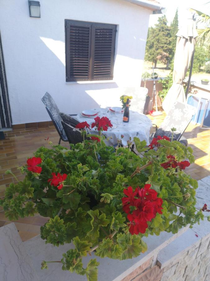 Licul Apartment Rovinj Eksteriør bilde