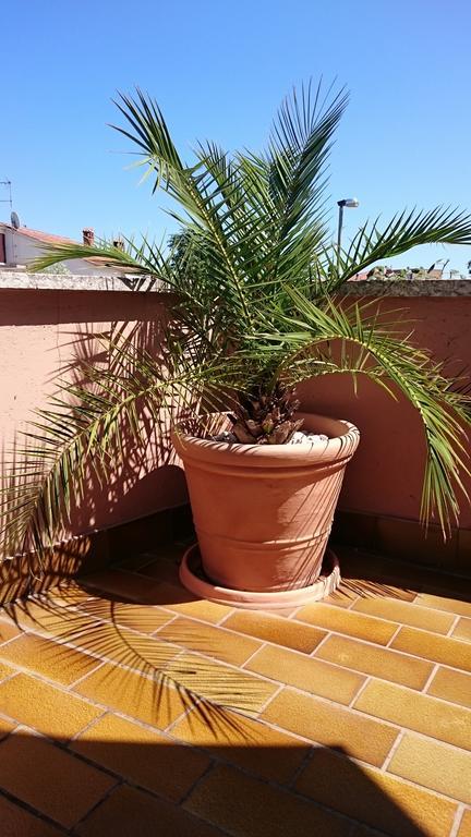 Licul Apartment Rovinj Rom bilde
